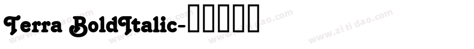 Terra BoldItalic字体转换
